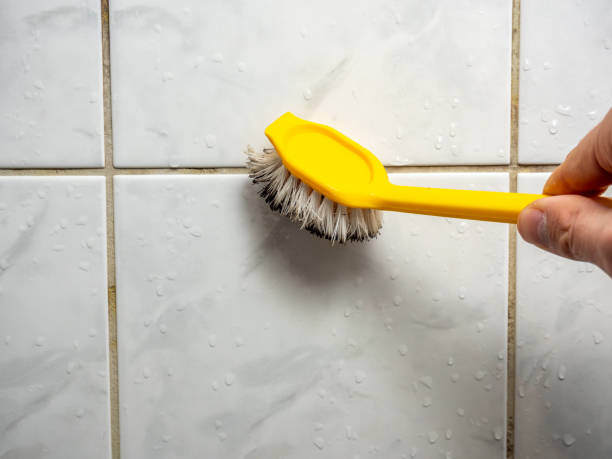 Lowell, MI Mold Removal Pros