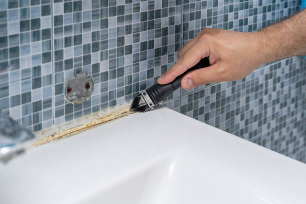 Best Toxic Mold Removal  in Lowell, MI