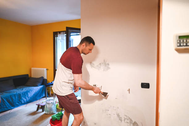 Best Mold Testing  in Lowell, MI